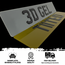 Load image into Gallery viewer, 3D Gel Tinted Plates
