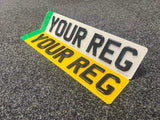 EV plates 4D with gel